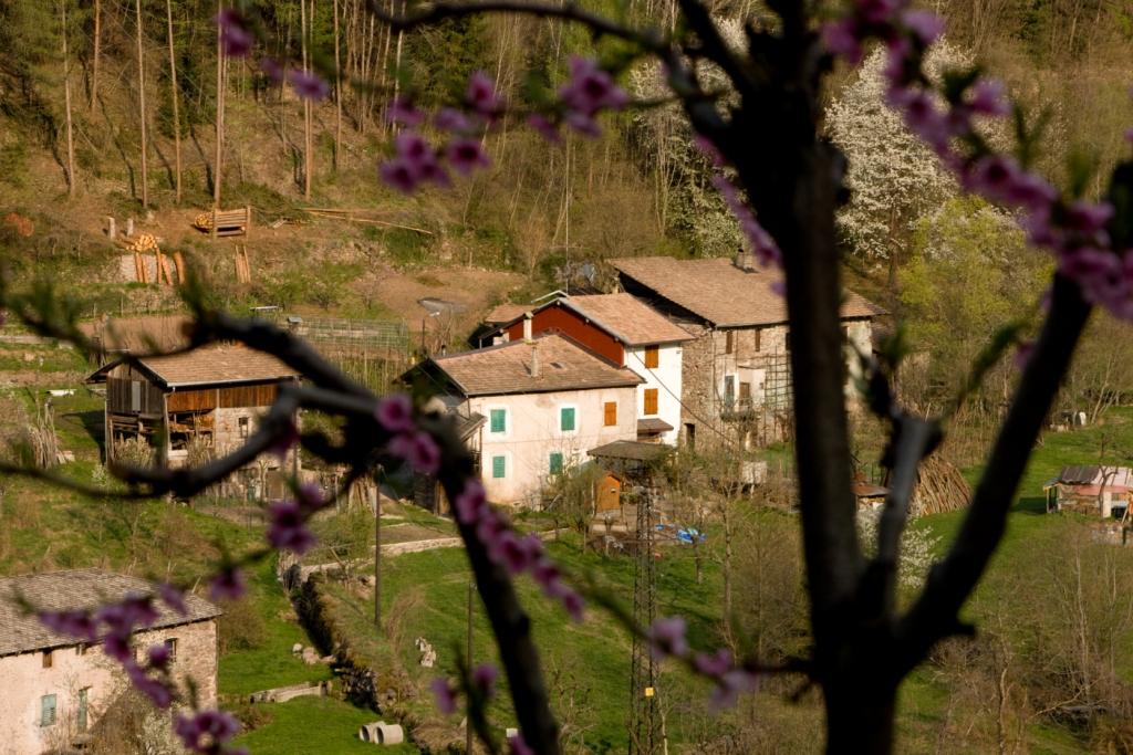 Grumes-primavera-2009